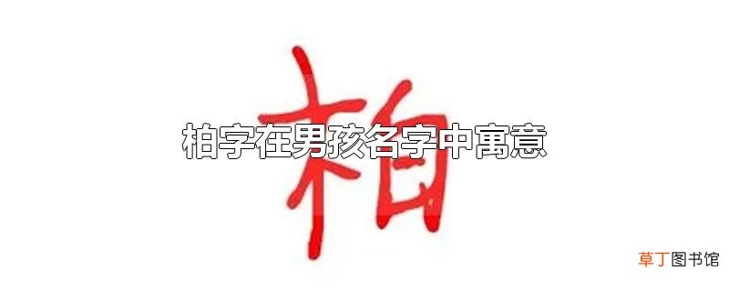 柏字在男孩名字中寓意