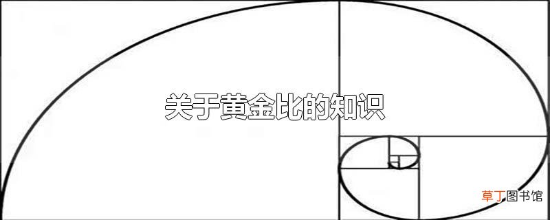 关于黄金比的知识