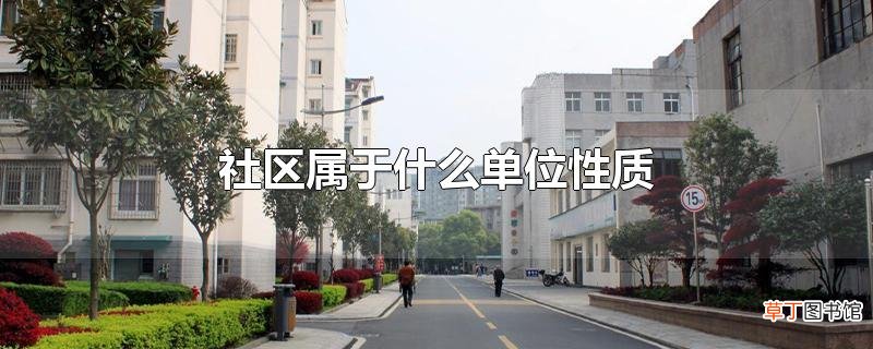 社区属于什么单位性质