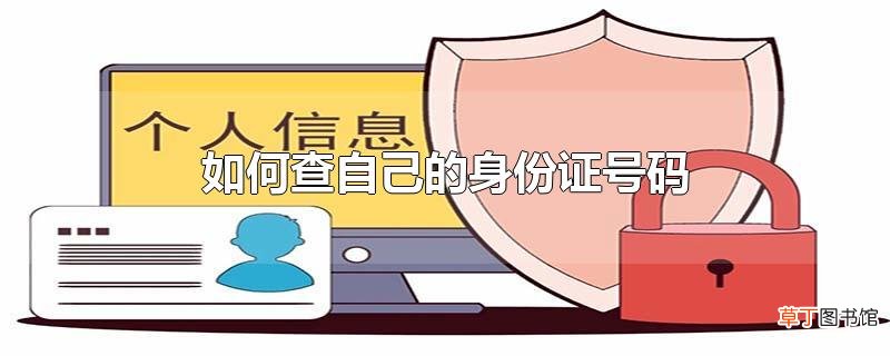 怎么查自己的身份证号码