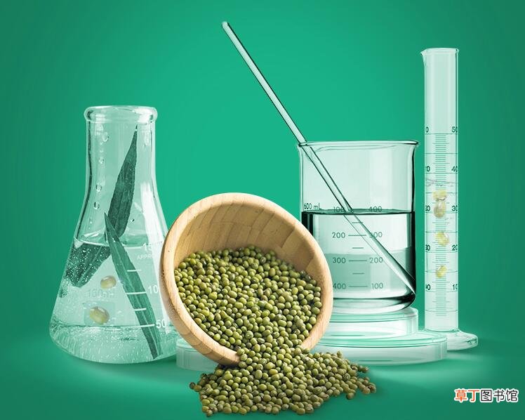 膜法世家绿豆泥浆面膜的功效