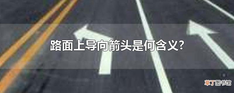 路面上导向箭头是何含义?