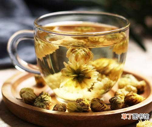 最好的养肝茶-最好的养肝茶是什么