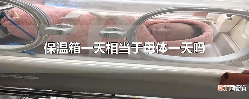 保温箱一天相当于母体一天吗