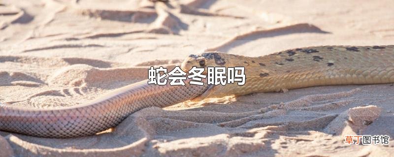 蛇会冬眠吗