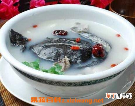 甲鱼汤的功效与作用 喝甲鱼汤的好处