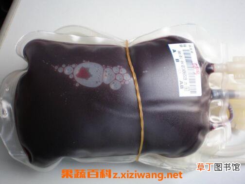 献血要求有哪些 哪些人不能献血