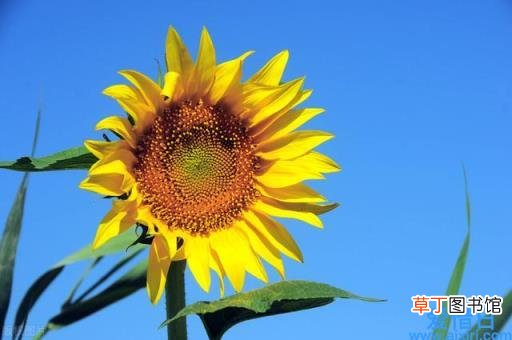 远程桌面设置的连接详细步骤 远程桌面连接设置