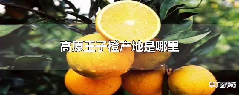 高原王子橙产地是哪里