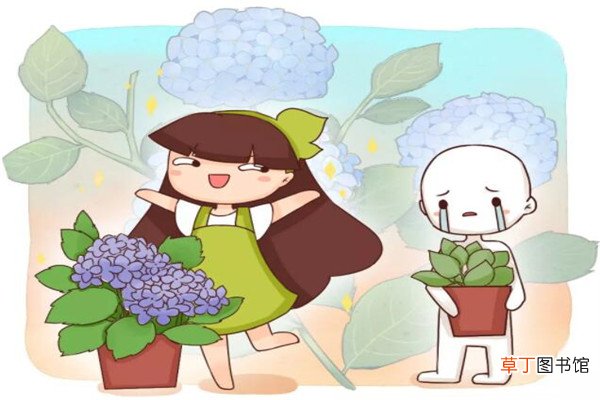 这花比法国香水还好闻，一闻就上瘾，家里满满香味儿！