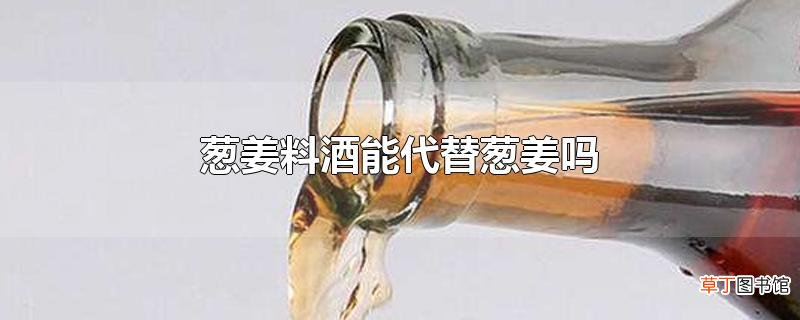 葱姜料酒能代替葱姜吗