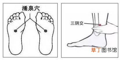 阳痿穴位按摩的方法-阳痿穴位按摩的方法是什么