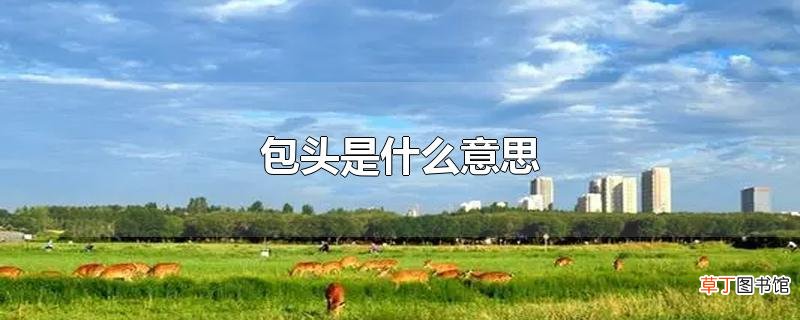 包头是什么意思