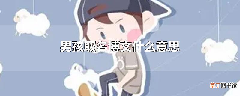 男孩取名博文什么意思