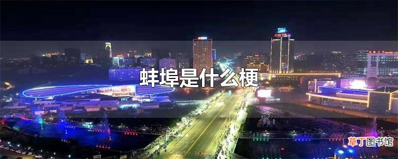 蚌埠是什么梗