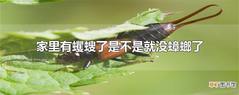 家里有蠼螋了是不是就没蟑螂了