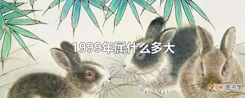 1999年属什么多大