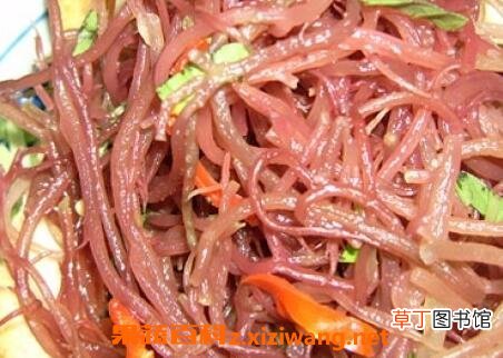 麒麟菜的功效与作用