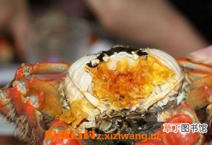 螃蟹怎么吃图解 螃蟹哪些部位不能吃