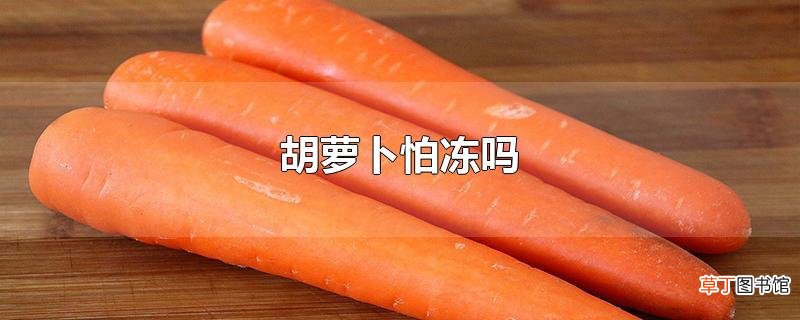 胡萝卜怕冻吗