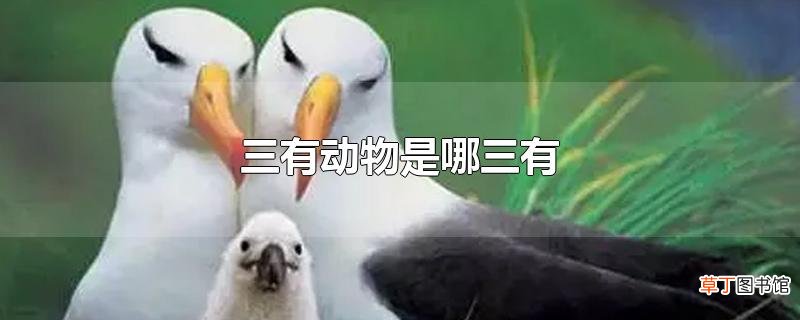 三有动物是哪三有