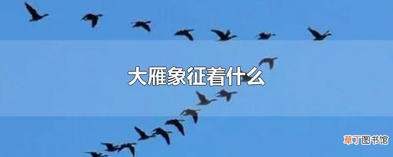 大雁象征着什么