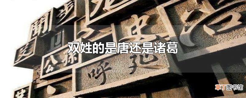 双姓的是唐还是诸葛