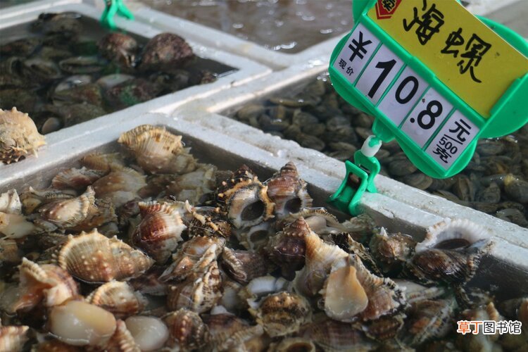多地食品安全警告：夏天别吃这种海鲜！容易中毒，严重可致命