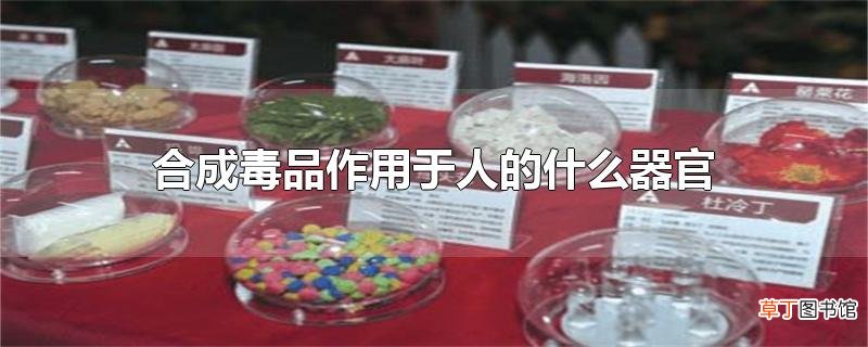 合成毒品作用于人的什么器官