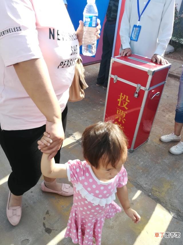 12333是什么电话