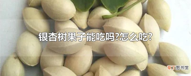 银杏树果子能吃吗?怎么吃?