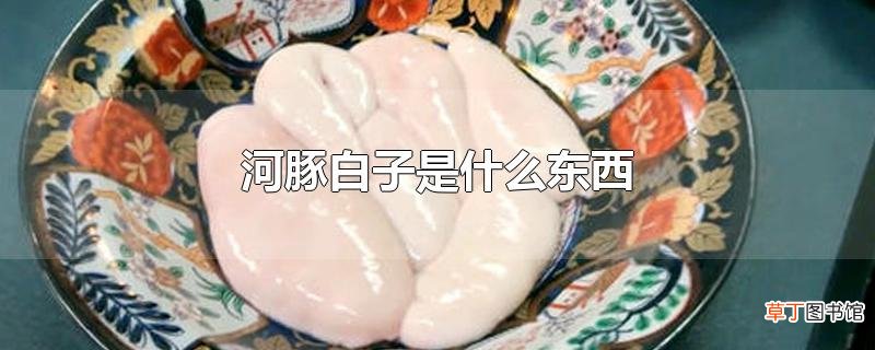 河豚白子是什么东西