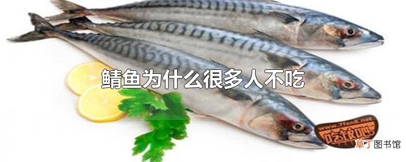 鲭鱼为什么很多人不吃