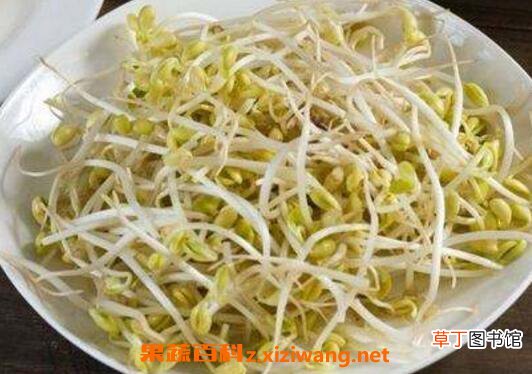 哪些食物能去湿气 常见去湿气的食物介绍
