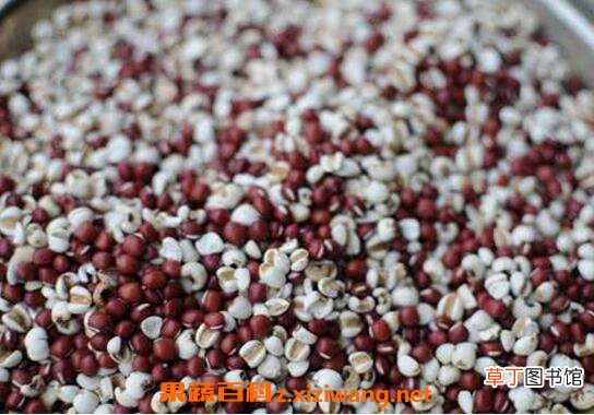 哪些食物能去湿气 常见去湿气的食物介绍