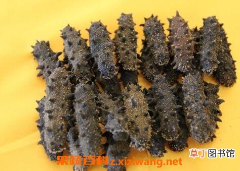 干海参的保质期多长时间 干海参如何保存