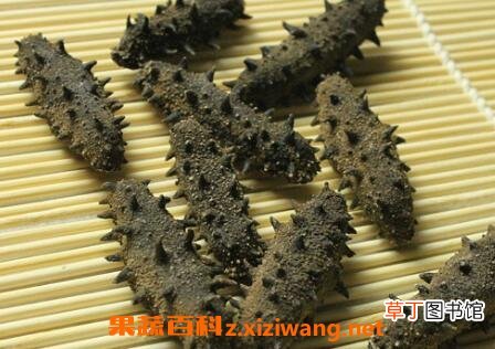干海参的保质期多长时间 干海参如何保存