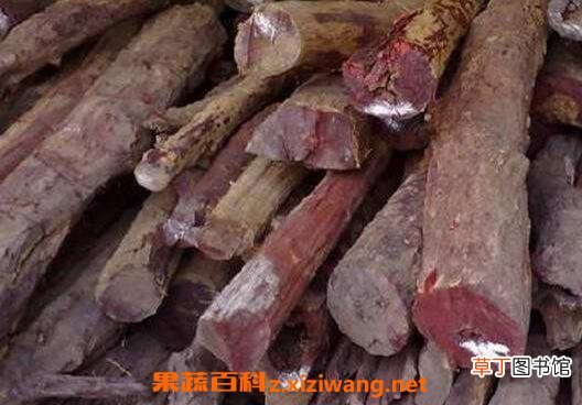 血檀的功效与作用