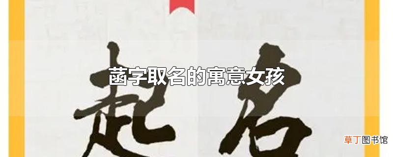 菡字取名的寓意女孩