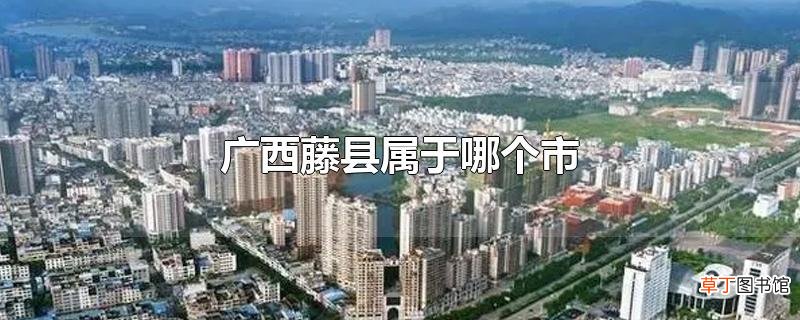 广西藤县属于哪个市