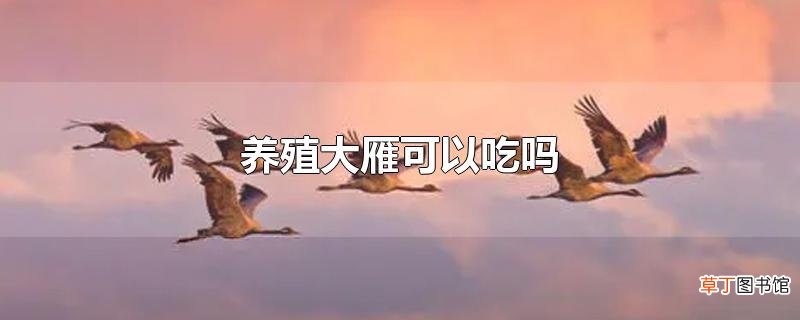 养殖大雁可以吃吗