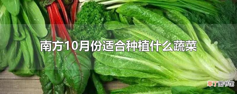 南方10月份适合种植什么蔬菜