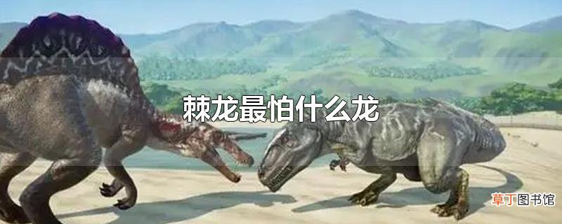 棘龙最怕什么龙