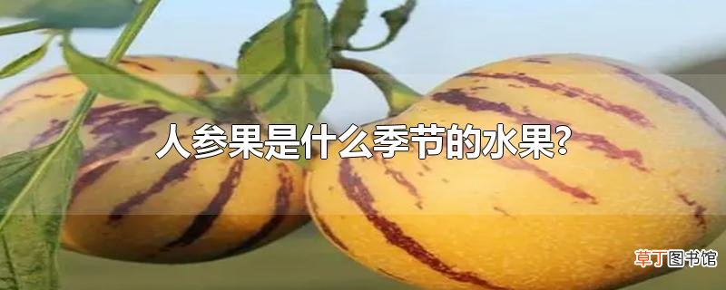 人参果是什么季节的水果?