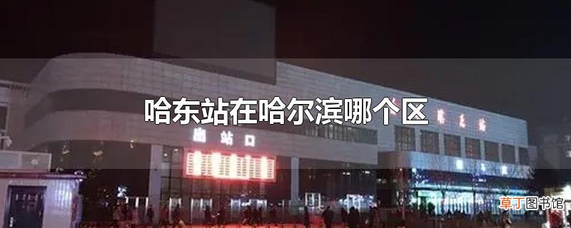 哈东站在哈尔滨哪个区