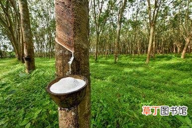米其林轮胎报价表，轮胎品牌售价排行榜