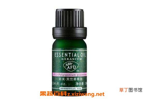天竺葵精油怎么用 天竺葵精油的用法