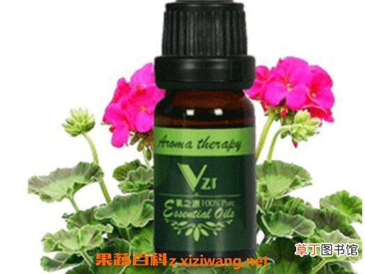 天竺葵精油怎么用 天竺葵精油的用法