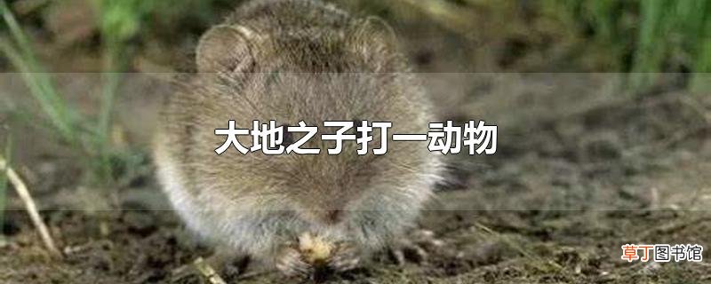 大地之子打一动物