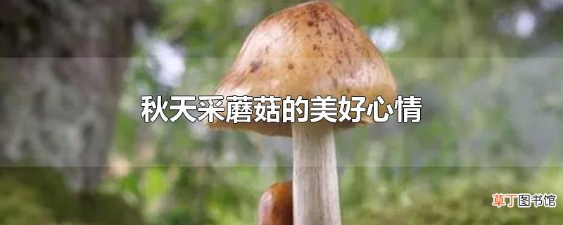 秋天采蘑菇的美好心情